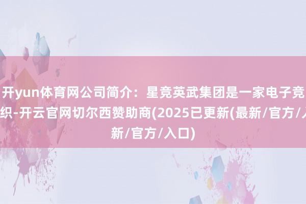 开yun体育网公司简介：星竞英武集团是一家电子竞技组织-开云官网切尔西赞助商(2025已更新(最新/官方/入口)