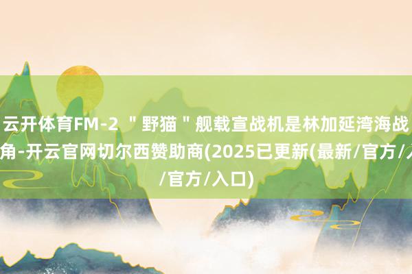 云开体育FM-2 ＂野猫＂舰载宣战机是林加延湾海战的主角-开云官网切尔西赞助商(2025已更新(最新/官方/入口)