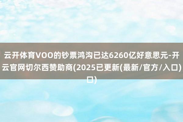 云开体育VOO的钞票鸿沟已达6260亿好意思元-开云官网切尔西赞助商(2025已更新(最新/官方/入口)
