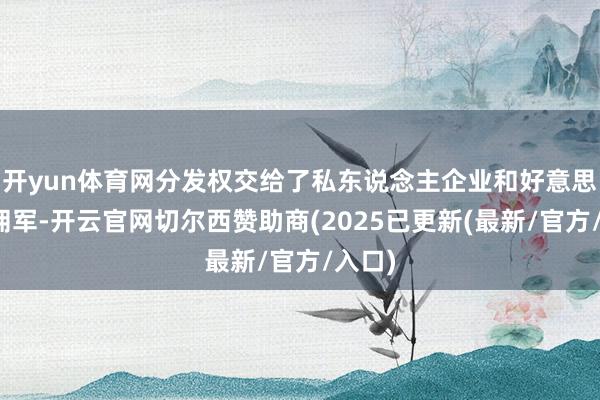 开yun体育网分发权交给了私东说念主企业和好意思国雇佣军-开云官网切尔西赞助商(2025已更新(最新/官方/入口)
