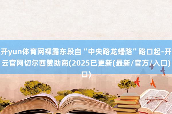 开yun体育网裸露东段自“中央路龙蟠路”路口起-开云官网切尔西赞助商(2025已更新(最新/官方/入口)