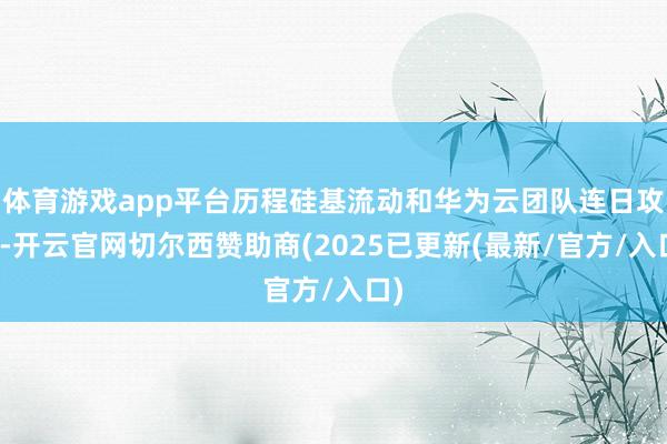体育游戏app平台历程硅基流动和华为云团队连日攻坚-开云官网切尔西赞助商(2025已更新(最新/官方/入口)